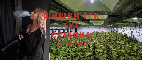 СК Алзамай